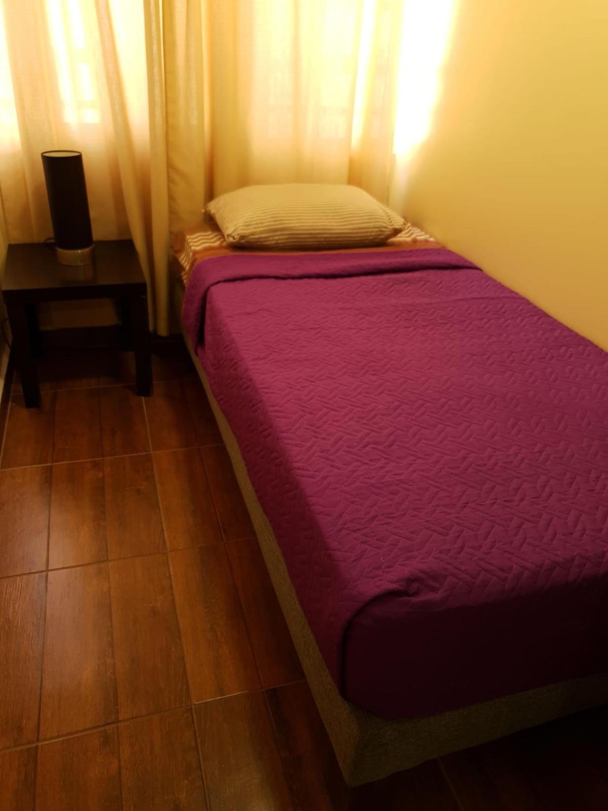 Departamento Centro R&M Διαμέρισμα Σαντιάγκο Εξωτερικό φωτογραφία